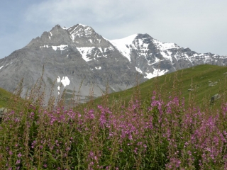 TERMIGNON - BELLECOMBE - REFUGE ENTRE DEUX EAUX-savoie
