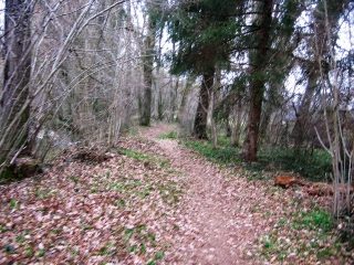 DOMESSIN - LA BRIDOIRE-savoie