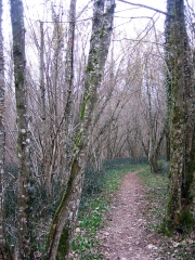 DOMESSIN - LA BRIDOIRE-savoie