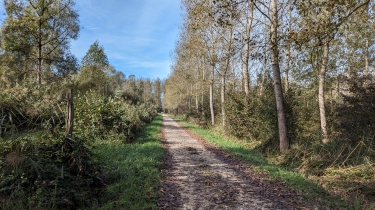 MARECAGES ET FORET DE CHAUTAGNE-savoie