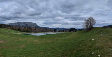 BOUCLE A LA TOURBIERE DES CREUSATES-savoie