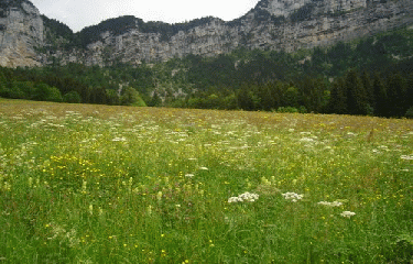 LA PLAGNE - LE GRANIER-savoie