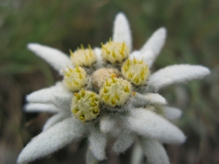 TOUR DE LA SANA EN 4 JOURS-savoie