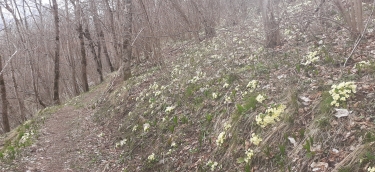 ST COLOMBAN LES VILLARDS - SOUVENIRS DU PASSé-savoie