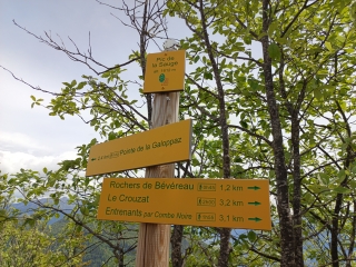 LE PIC DE LA SAUGE-savoie