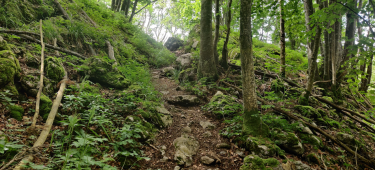 TOUR DU GROS MOLLARD-savoie