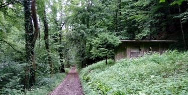 AUTOUR DU MONT PEZARD & DES GORGES DE CALVIN-savoie