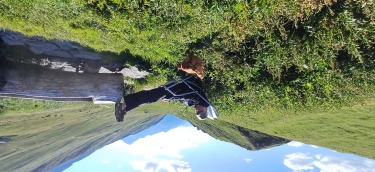 VANOISE TOUR DU MEAN MARTIN EN 4 OU 5J  JOUR1-savoie