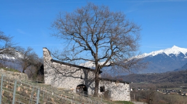 BOUCLE AU DéPART D'ARBIN (73)