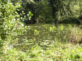 LES MOLLETTES - LAC SAINTE HELENE-savoie