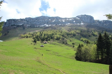 ALPAGES DE DOUCY DANS LES BAUGES-savoie