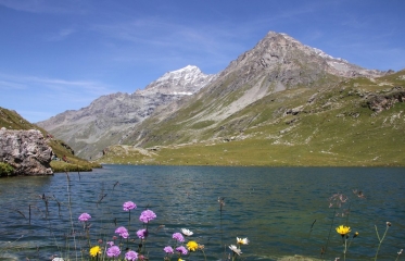PEISEY-NANCROIX - LAC DE LA PLAGNE-savoie
