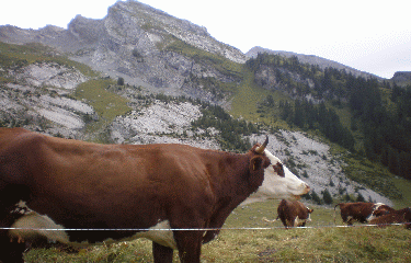 LES CONFINS - LA BOMBARDELLAZ-haute-savoie