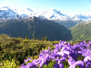 VALLORCINE 74-haute-savoie