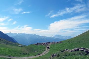 COL DE LA GOLESE-haute-savoie