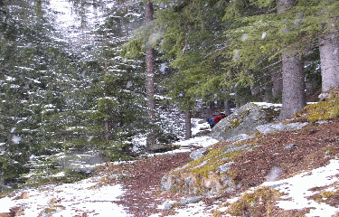 CHAMONIX-haute-savoie