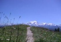 LA MONTEE DES LIONS-haute-savoie