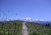 LA MONTEE DES LIONS-haute-savoie