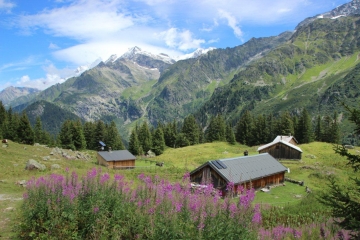 COL DE LA FENETRE-haute-savoie