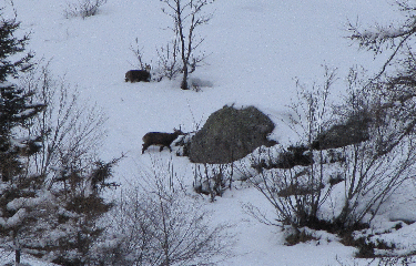 RAQUETTES A MONTROC LE PLANET-haute-savoie