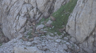 LES CORNETTES DE BISES-haute-savoie