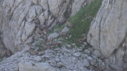 LES CORNETTES DE BISES-haute-savoie