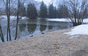 ARVE AUX BOSSONS-haute-savoie