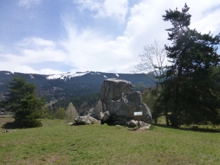 LES ALPAGES D ARACHES  - A ARACHES-LA-FRASSE-haute-savoie