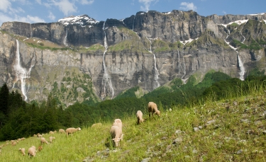 SIX-FER-A-CHEVAL - GORGES DES TINES-haute-savoie