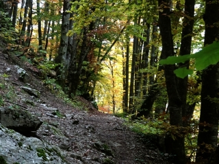 MIEUSSY - BOUCLE DE ROCHE PALLUD-haute-savoie