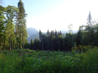 DENT DE CONS (2062M) - TRAVERSEE DES ARETES-haute-savoie