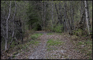 GORGES DE TINES-haute-savoie