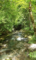 SAINT-JEAN-DE-SIXT - LE TORRENT DU NOM-haute-savoie