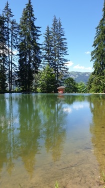 LE LAC DES EVETTES-haute-savoie