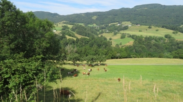 MASSINGY - LES HAUTS DE MASSINGY-haute-savoie