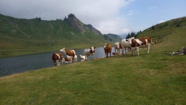 LAC DE ROY ET FRETE DE PENAILLE  -1 862M - (PRAZ-DE-LYS)-haute-savoie