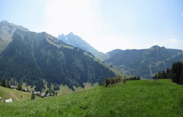 BELIER DES ARAVIS-haute-savoie