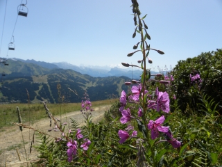 LES CHAVANNES-haute-savoie