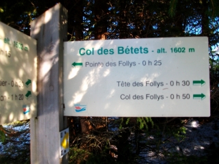 MEGEVETTE - COL DES BETETS-haute-savoie