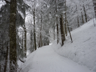 RAQUETTES A BELLEVAUX-haute-savoie