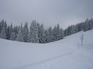 BELLEVAUX - COL DE LA BALME-haute-savoie