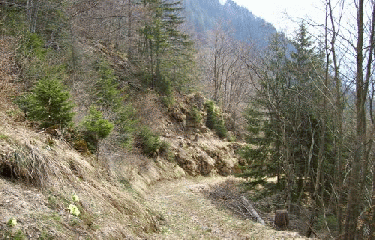 POINTE D ANDEY-haute-savoie