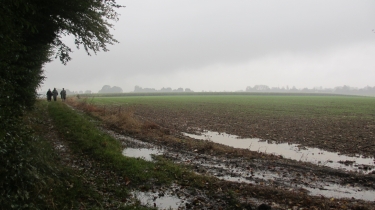 FRANQUEVILLE - ENNEBOURG-seine-maritime