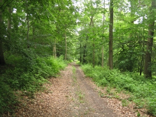 SAINT-WANDRILLE-RANCON-seine-maritime