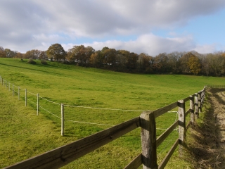SAINT-MARTIN-DU-MANOIR-seine-maritime