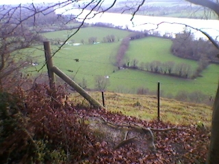 SAINT-PIERRE-DE-VARENGEVILLE (2)-seine-maritime