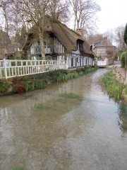 SAINT-VALERY-EN-CAUX - VEULES-LES-ROSES-seine-maritime