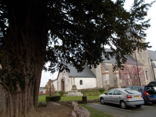 ANGERVILLE-L-ORCHER-seine-maritime