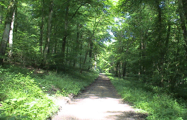 Incheville-seine-maritime