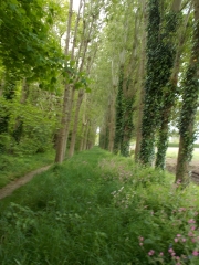 CAUVILLE-SUR-MER-seine-maritime